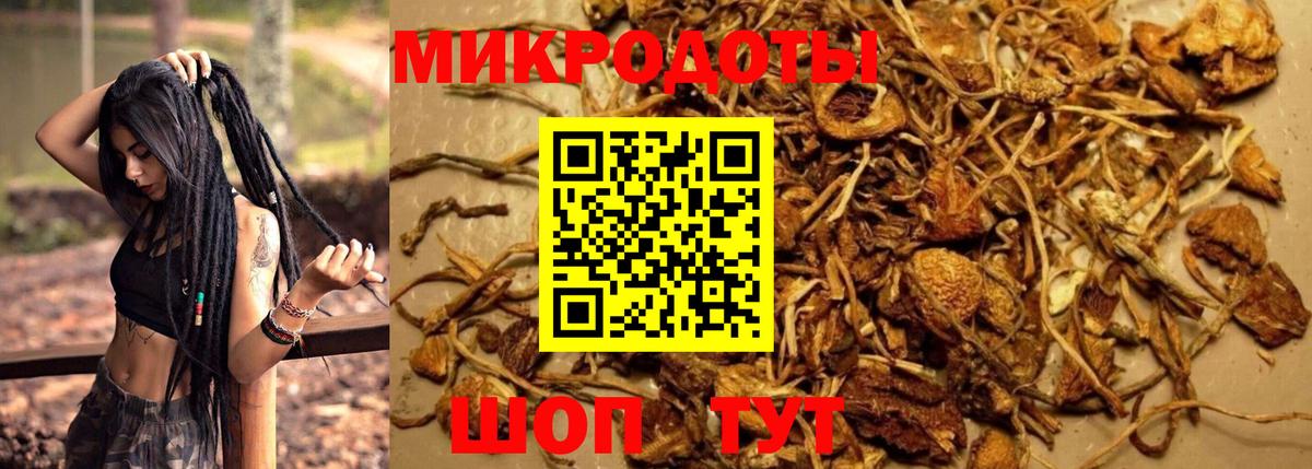 Галлюциногенные грибы прущие грибы Ипатово