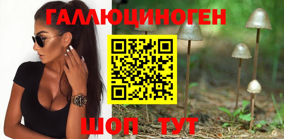 наркошоп  Псилоцибиновые грибы Psilocybe  Вход с VPN  Псилоцибиновые грибы мухоморы  Ипатово 